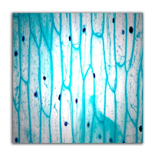 Quadri astratti pittura tezt - quadri,