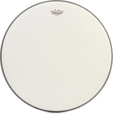 Remo Ambassador testa di