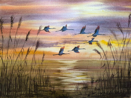Uccellini aironi blu - aironi, cielo