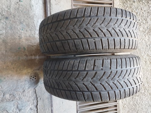 Gomme invernali dunlop 225 - invernali,