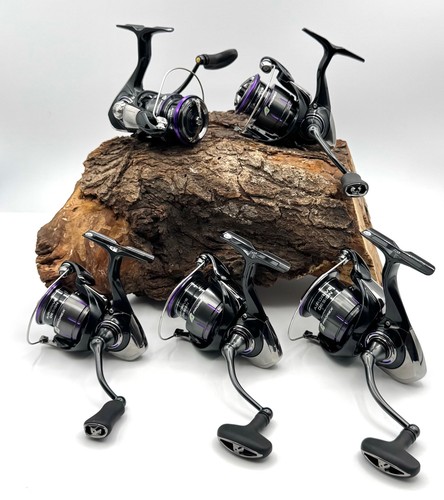 Daiwa prorex lt mulinello - daiwa,