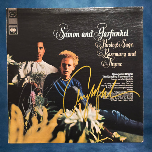 Simon and garfunkel disco - simon, in