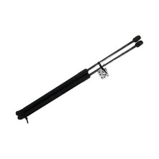 Coppia Pistoni Portellone