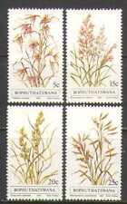 Bophuthatswana 1981 Plants/Grasses/Nature 4v (n22669)