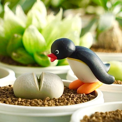 Pingu snow figure sense - snow, of