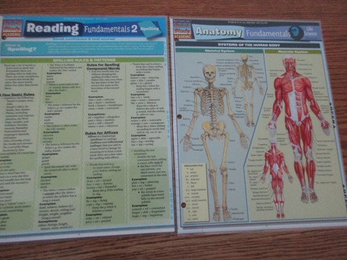 Quick study guides - study,