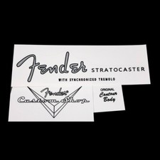 Waterslide Fender Stratocaster