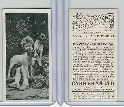 C18 carreras cani e - cani,