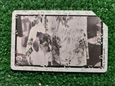 SCHEDA TELEFONICA 10000 LIRE