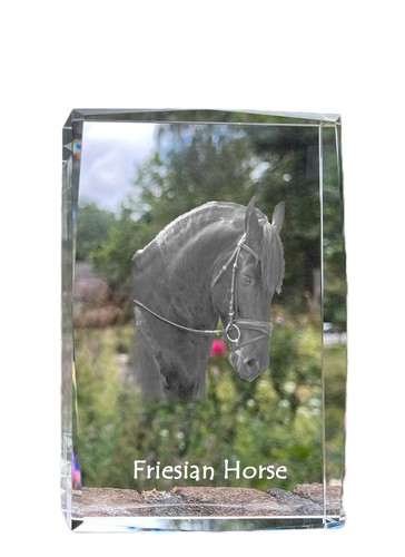 Cavallo frisone cristallo con - cavallo,