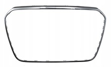 Griglia Radiatore Cromo Telaio