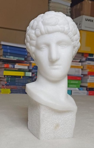 Busto apollo carrara - busto,