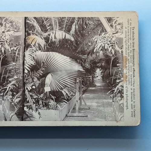 Kew gardens stereoview c1895 - gardens,
