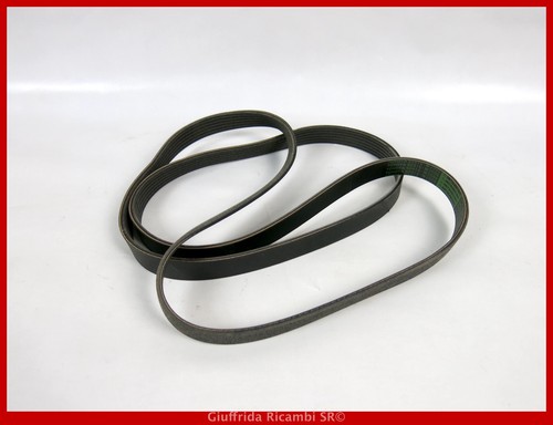 Cinghia servizi poly - cinghia, poly-v