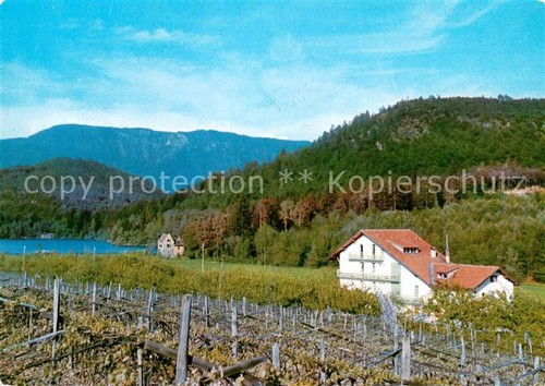 Appiano albergo moser gasthof - appiano,