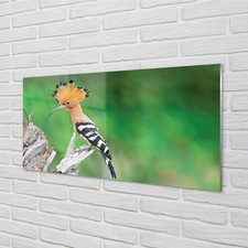 Quadro Tulup Stampa Vetro