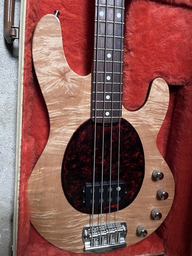 Music man stingray - music,