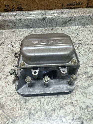 Testa cilindro oem - oem, briggs