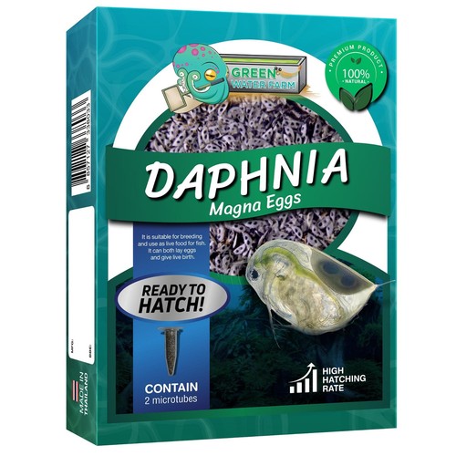 Daphnia magna uova - daphnia, pesce