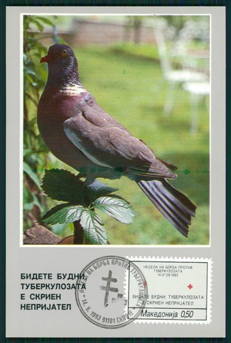 Macedonia croce rossa - mk,