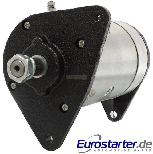 Avviatore dinastico nuovo - 1*,