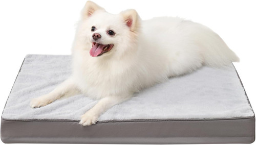 Cuccia cane interno taglia - cane,