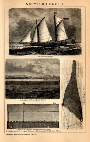1893 antique print - antique, sailing