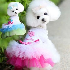Vestiti per animali domestici