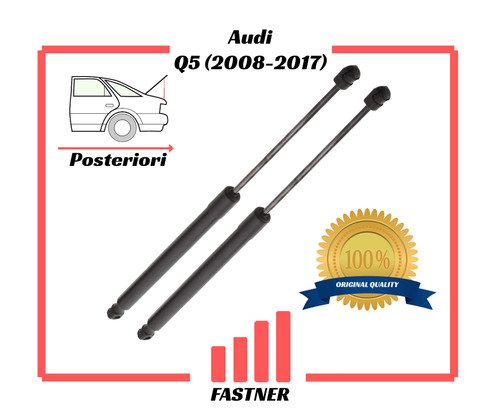 Coppia 2pz ammortizzatori - coppia,