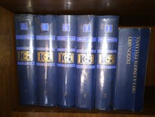 Enciclopedia + Dizionario