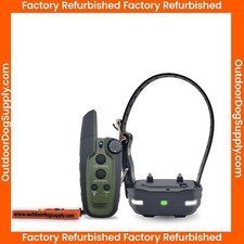 Garmin Sport PRO Sistema di addestramento per cani con cinturino Garmin di base