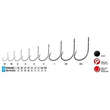 AMI GAMAKATSU LS 3424 F  MONO