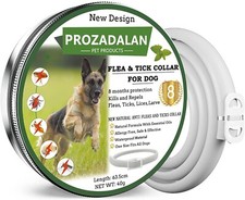 Collare per cani antipulci - collare,