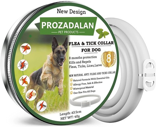 Collare per cani antipulci - collare,