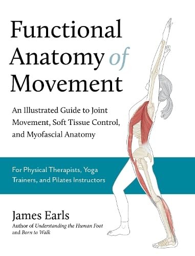Functional anatomy of - functional,