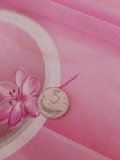 Moneta 5 lire del 1954 Rara