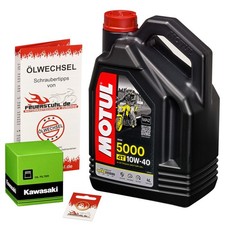 Olio motore Kawasaki VN 800