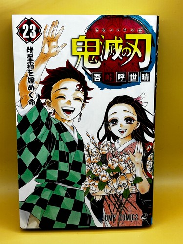 Demon slayer kimetsu yaiba - slayer:,