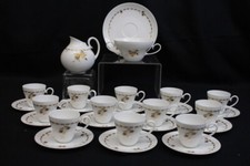 27 Pc ROSENTHAL Hand-Painted