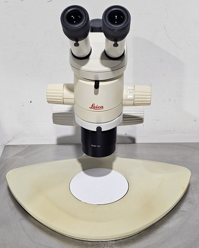 Microscopio stereo leica - microscopio,