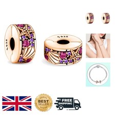 Charm anallergico in argento