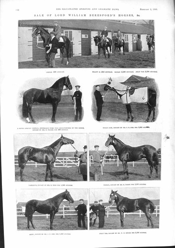 Vecchia vendita 1901 - , lord