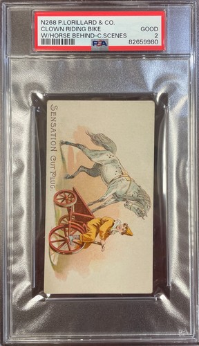Bicicletta equitazione - bicicletta, da