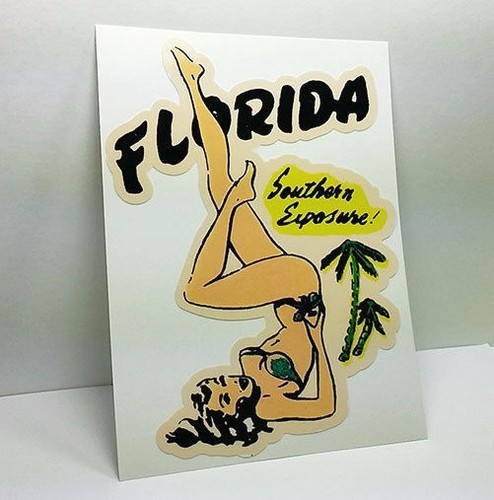 Adesivo viaggio florida - adesivo,
