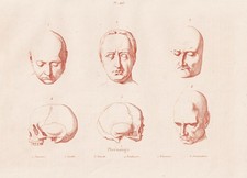 Frenologia Teschio Teste Persone Humans Incisione Acciaio Guerin-Meneville 1838