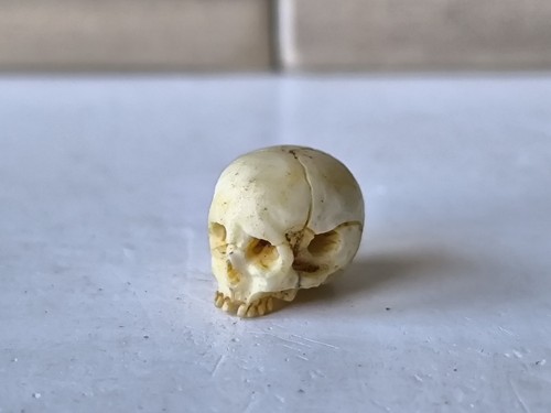Memento mori vanitas skull - mori,