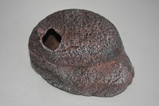 Terrario Rettile Roccia