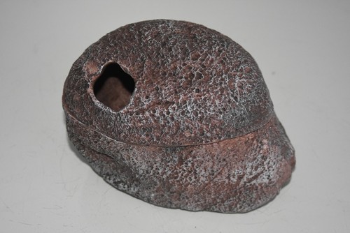Terrario rettile roccia - terrario,