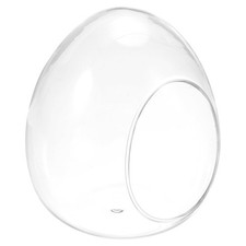 Pianta Fioriera,4.6" Forma uovo Alto Borosilicato Vetro Tavolo Decorazioni
