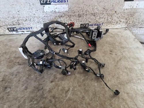 Cablaggio del motore ford puma - motore,